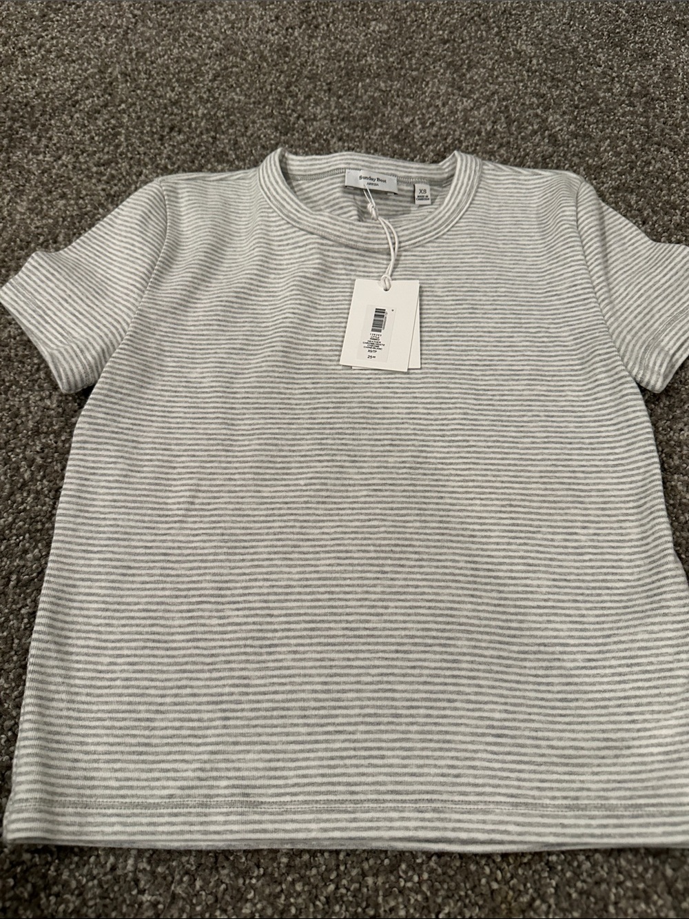 Aritzia Gray & White Striped Short Sleeve Crewneck Tee